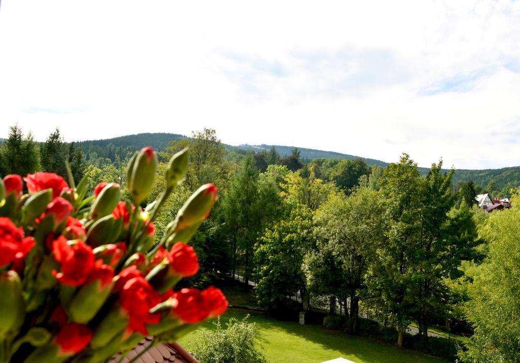 Villa Vital Swieradow-Zdroj Room photo
